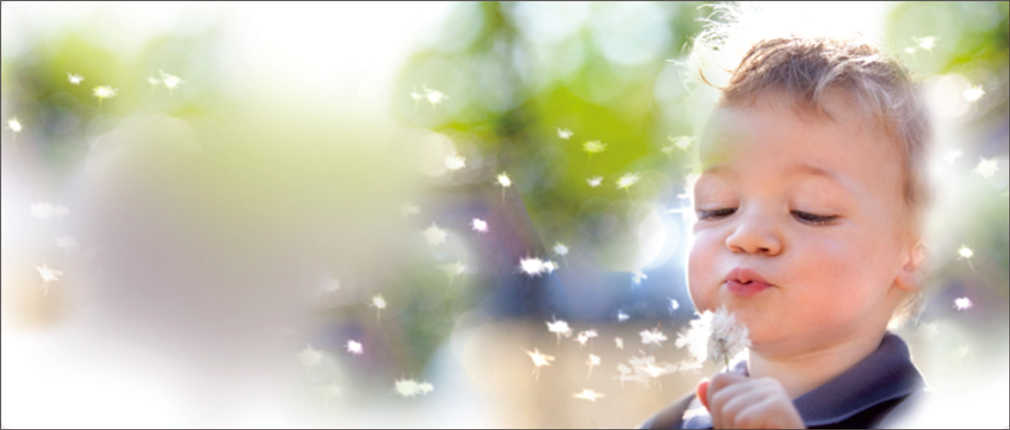 bannner-02